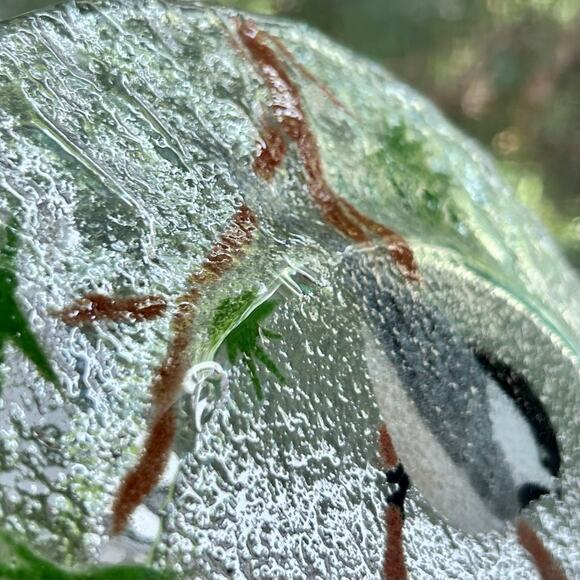 Vintage Signed Pressed Glass Plate with Hand-Painted Chickadees and Pinecones - Picture 13 of 16